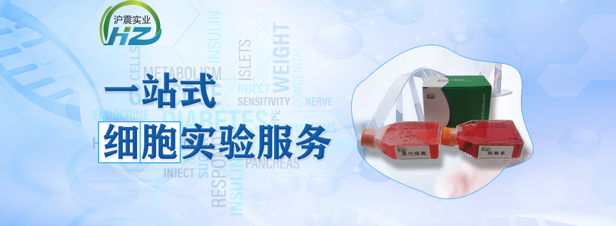 轮播图