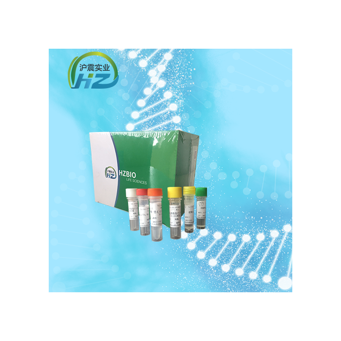 小麦矮化病毒PCR试剂盒HZ57703 - 沪震生物官方商城-沪震生物