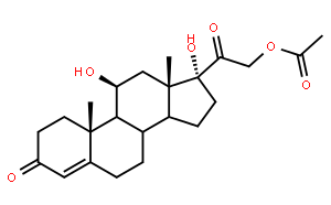 氢化可的枪乙酸