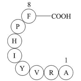 Angiotensin 1/2 + A (2 - 8)