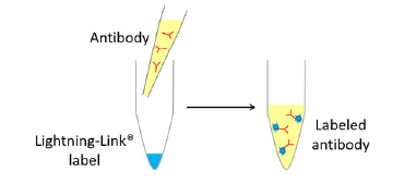 微信图片_20231204112019 2023120411212673248